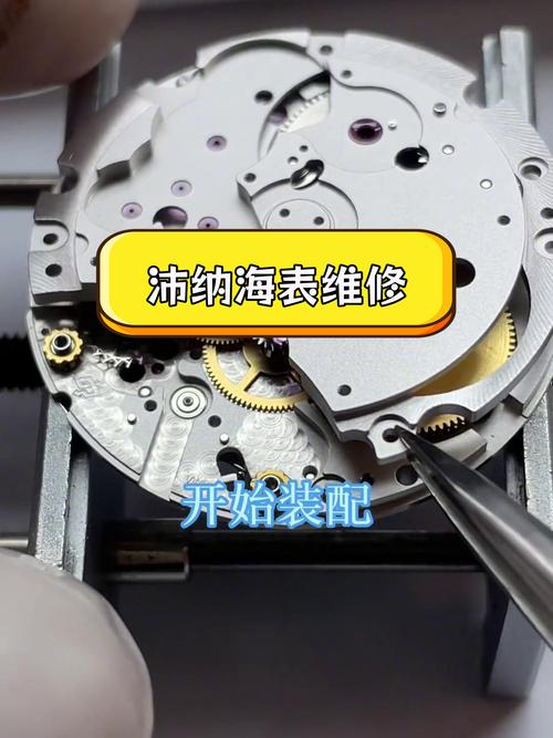 沛納海維修天津，沛納海維修視頻