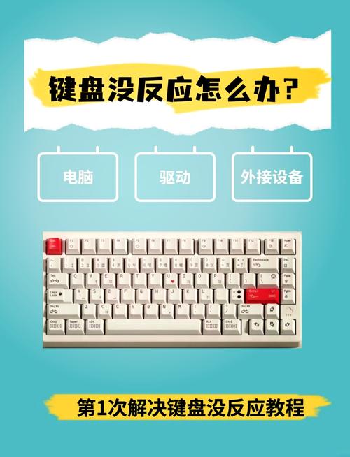 鍵盤驅動程序錯誤怎么處理，鍵盤驅動安裝失敗