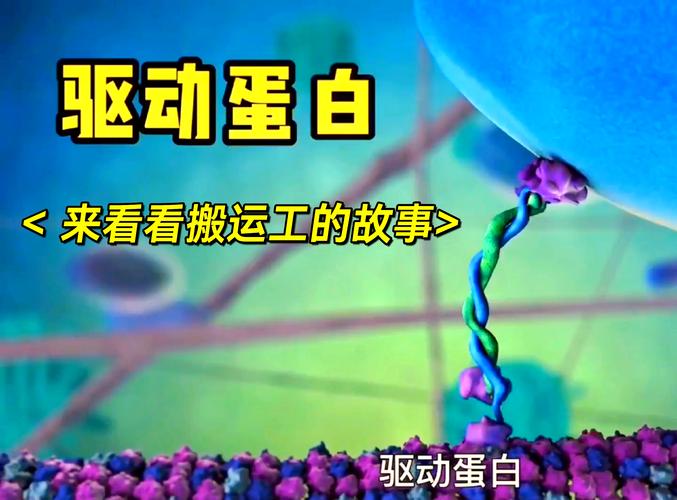 驅動蛋白三個結構域，驅動蛋白作用